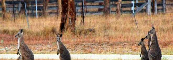 Viaggio avventura nell'Outback dell'Australia: il selvaggio Northern Territory