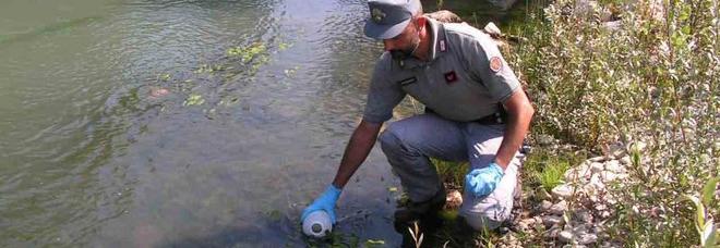 Sversamenti tossici
nel torrente: forestali
denunciano ditta artigiana