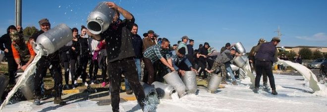 La protesta dei pastori sardi La protesta dei pastori sardi