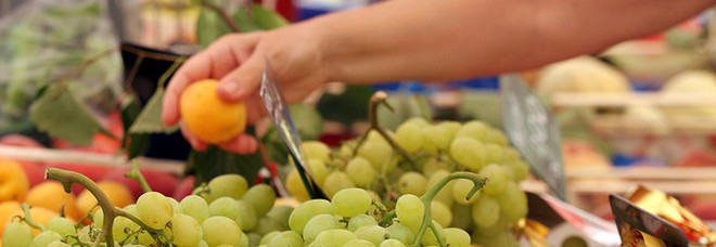 Istat, rallenta l'inflazione a maggio: frutta meno cara rispetto al 2018 Istat, rallenta l'inflazione a maggio: frutta meno cara rispetto al 2018