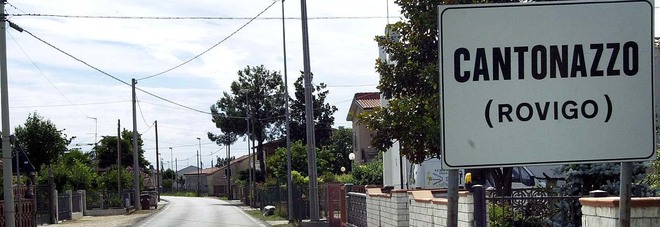Picchiano il cane e lo chiudono in bagno per evitare che lanci l'allarme Picchiano il cane e lo chiudono in bagno per evitare che lanci l'allarme