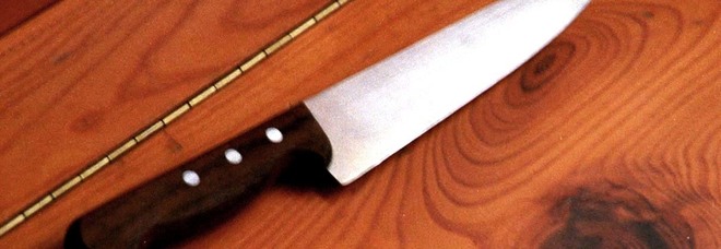 Babysitter accoltella e uccide bambina di 3 anni: «Volevo punirla perché ha rotto il mio lettore dvd»