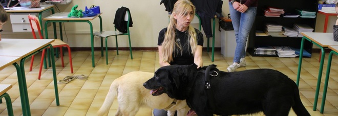 I cani in cattedra con la Empathy school I cani in cattedra con la Empathy school