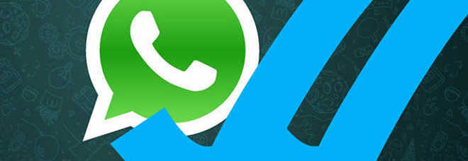 Whatsapp e privacy: ecco come leggere l'orario di lettura dei messaggi