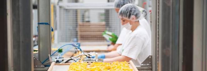 La Pasta di Camerino
Un cuore artigianale
in una grande impresa