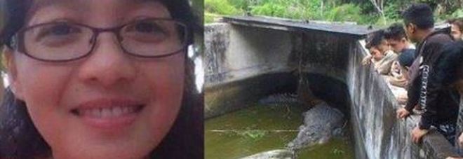 Coccodrillo sbrana la biologa che lo stava nutrendo: Deasy aveva 44 anni Coccodrillo sbrana la biologa che lo stava nutrendo: Deasy aveva 44 anni