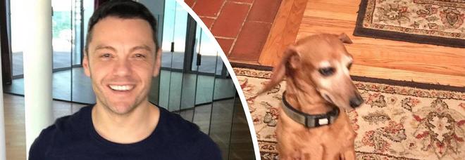 Tiziano Ferro: «I cani anziani hanno una marcia in più, adottatene uno» Tiziano Ferro: «I cani anziani hanno una marcia in più, adottatene uno»