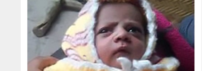 Neonato ucciso da scimmia:
«Strappato dalle braccia
della mamma che lo allattava»