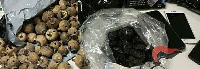 Lo stupefacente sequestrato nell'operazione Lo stupefacente sequestrato nell'operazione