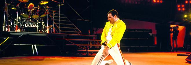 Freddie Mercury Freddie Mercury