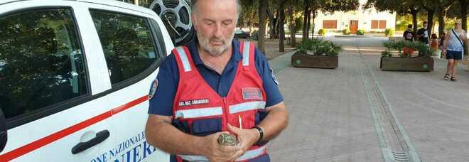 Sabaudia: i volontari dell'Anc salvano giovane civetta e l'affidano ai carabinieri forestali