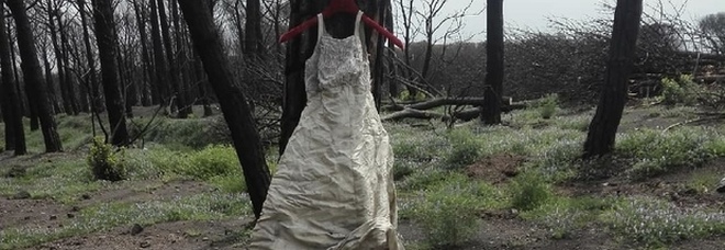La sposa cadavere
in pineta: di chi è l'abito
bianco abbandonato?