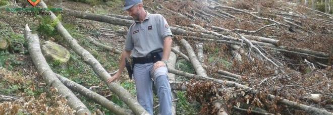 Boschi rasi al suolo per pista
da sci e nuova funivia
del Catria: multe e denunce