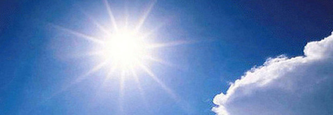 Sole Sole