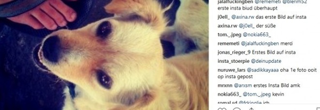 La storia della prima foto caricata su Instagram (quando il social ancora non esisteva) La storia della prima foto caricata su Instagram (quando il social ancora non esisteva)