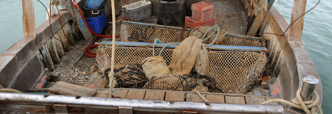 Sono tornate le mucillaggini
i pescatori alzano bandiera
bianca: «Le reti affondano»