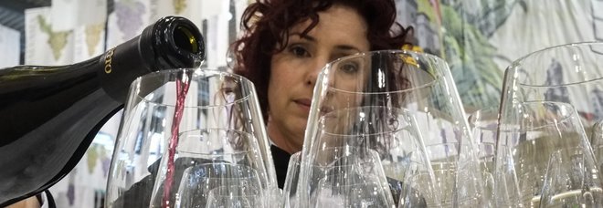 Il vino è l'oro delle Marche:
sale l'export. «Possiamo
competere con chiunque»