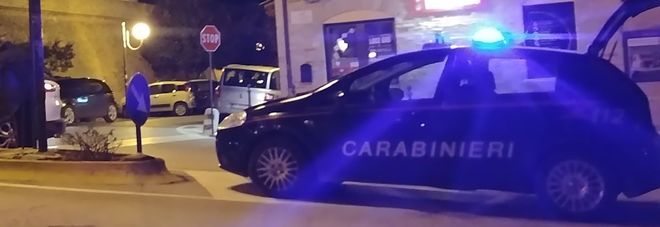 Tagliano il recinto
e caricano ​i bancali
sul furgone: denunciati