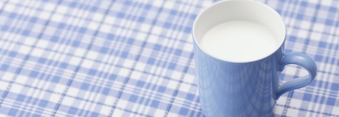 Tumori, consumare latte e formaggi riduce il rischio di ammalarsi