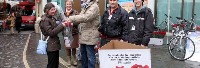 Uno dei gazebo organizzati dall'Ail per la vendita delle Stelle di Natale per la ricerca contro le leucemie Uno dei gazebo organizzati dall'Ail per la vendita delle Stelle di Natale per la ricerca contro le leucemie