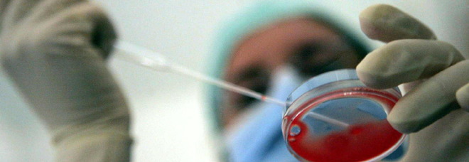 Fecondazione eterologa,
le donne italiane
non donano gli ovuli