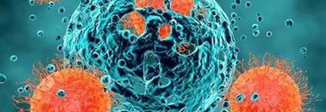 Scoperta cellula immunitaria in grado di riconoscere diverse forme di tumore
