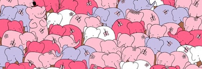 Riuscite a trovare il cuore tra gli elefanti colorati? Ecco il nuovo rompicapo che fa impazzire il web