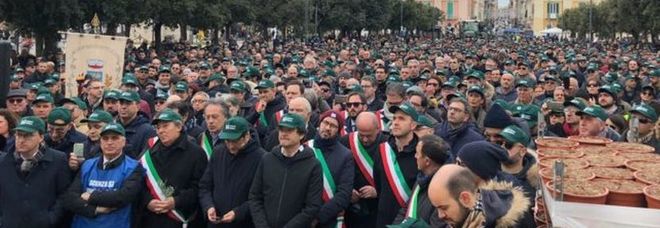 «Basta chiacchiere, interventi immediati contro la xylella». A migliaia alla manifestazione di Monopoli «Basta chiacchiere, interventi immediati contro la xylella». A migliaia alla manifestazione di Monopoli