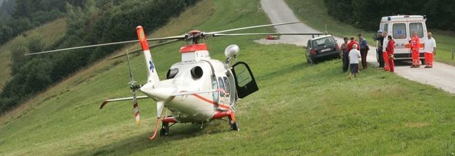 Travolto dall'albero mentre fa legna muore sul colpo boscaiolo di 52 anni Travolto dall'albero mentre fa legna muore sul colpo boscaiolo di 52 anni