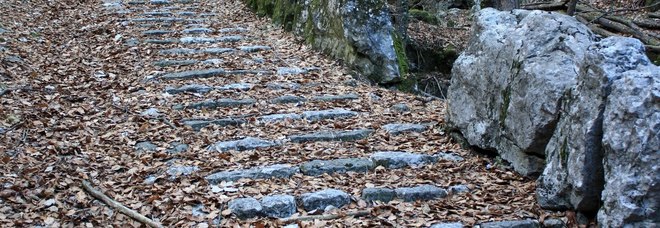 Un tratto della Calà del Sasso di Asiago Un tratto della Calà del Sasso di Asiago