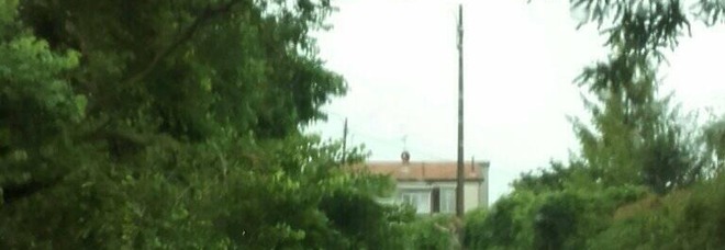 Sottopassi chiusi, alberi
abbattuti e tanti allagamenti
da nord a sud: caos totale