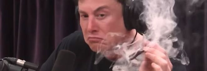 Musk fuma marijuana in un video, Tesla crolla a Wall street Musk fuma marijuana in un video, Tesla crolla a Wall street