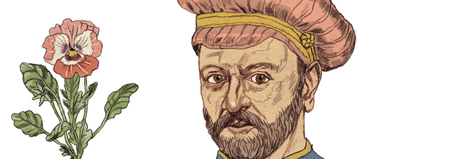 illustrazione di Matteo Bergamelli illustrazione di Matteo Bergamelli