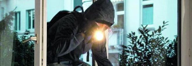 Quattro furti in casa in poche ore, mobili e elettrodomestici spostati Quattro furti in casa in poche ore, mobili e elettrodomestici spostati