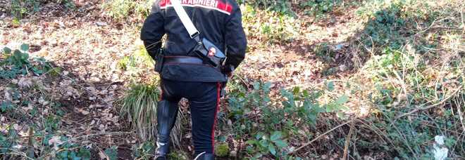 Narni, droga nei boschi. Arrestato un marocchino senza fissa dimora