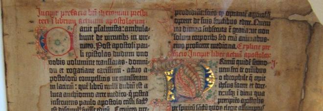 Usa, nasce nel centro di Washington il Museo della Bibbia: otto piani dedicati alle sacre scritture Usa, nasce nel centro di Washington il Museo della Bibbia: otto piani dedicati alle sacre scritture