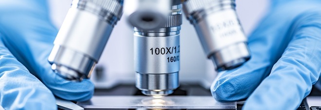 Fecondazione in vitro: le tecniche e le indicazioni scientifiche per aumentare i successi