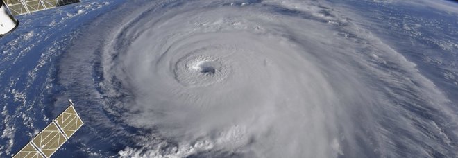 Florence spaventa gli Usa: «Come un pugno di Tyson sulle coste» Florence spaventa gli Usa: «Come un pugno di Tyson sulle coste»