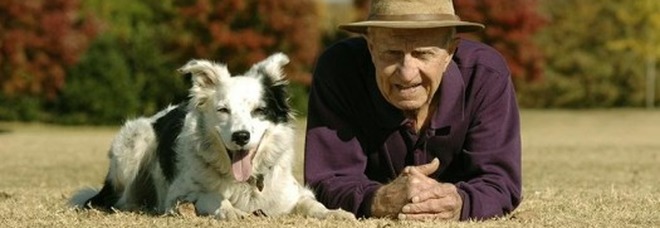 Chaser, la cagnolina più intelligente del mondo, che sapeva riconoscere oltre 1000 sostantivi è morta all'età di 15 anni