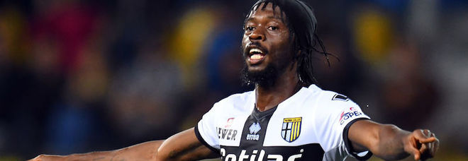 Gervinho Gervinho