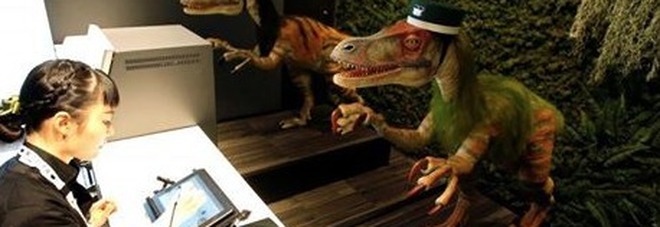 Sono programmati per fare tutto, dall'accoglienza alla sistemazione nelle stanze Sono programmati per fare tutto, dall'accoglienza alla sistemazione nelle stanze