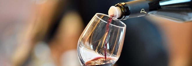 Il vino rosso potrà essere usato per combattere ansia e depressione: la scoperta Il vino rosso potrà essere usato per combattere ansia e depressione: la scoperta