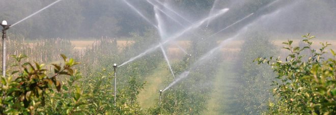 Il Consorzio di Bonifica
minaccia: «Via i contatori
e sigilli a chi non paga»