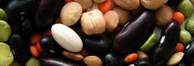 Pesce legumi e cereali, la dieta per l'artrite che fa bene anche all'umore Pesce legumi e cereali, la dieta per l'artrite che fa bene anche all'umore