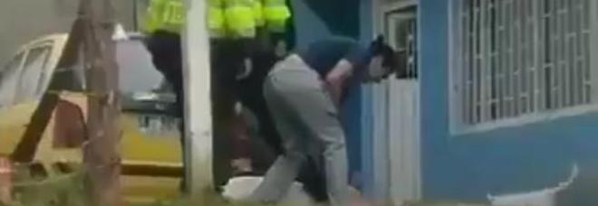 Cane violento ucciso a bastonate dalla polizia, ira degli animalisti Cane violento ucciso a bastonate dalla polizia, ira degli animalisti