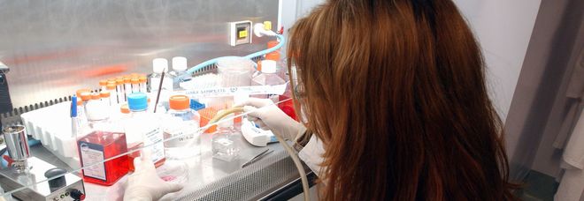 Tumore al pancreas, identificata una nuova terapia mirata: la ricerca italiana