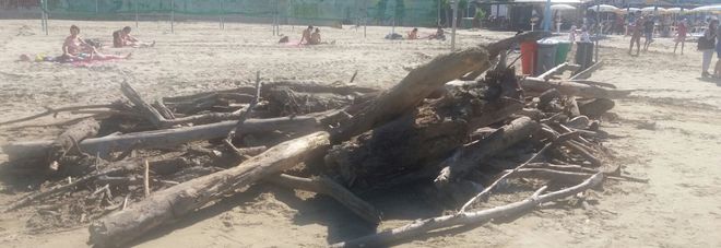 La segnalazione WhatsApp
"Ecco com'è la spiaggia di Falconara"