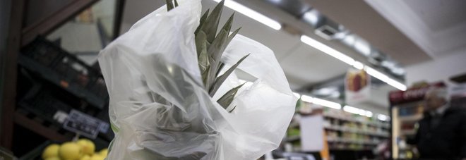 Sacchetti, lo studio sui nuovi bioshopper: «Sono poco biodegradabili» Sacchetti, lo studio sui nuovi bioshopper: «Sono poco biodegradabili»