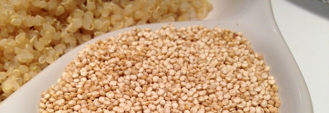 Quinoa Quinoa