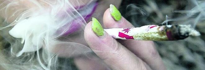«Licenziate l'insegnante che fuma marijuana» Ma il preside minimizza «Licenziate l'insegnante che fuma marijuana» Ma il preside minimizza